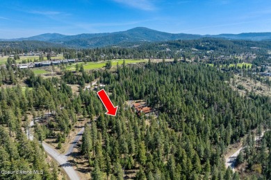 End of a cul-de-sac privacy from one of the largest lots at on Gozzer Ranch Golf and Lake Club in Idaho - for sale on GolfHomes.com, golf home, golf lot