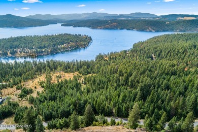 A Gozzer Ranch Golf and Lake Club lot.  Golf membership to on Gozzer Ranch Golf and Lake Club in Idaho - for sale on GolfHomes.com, golf home, golf lot