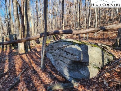 CURRENT BEECH MTN CLUB MEMBERSHIP - transfers at closing upon on Beech Mountain Club in North Carolina - for sale on GolfHomes.com, golf home, golf lot