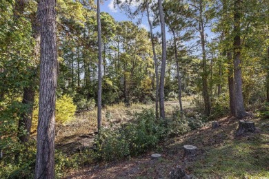 Welcome to this charming and well-maintained home located in the on The Valley At Eastport in South Carolina - for sale on GolfHomes.com, golf home, golf lot