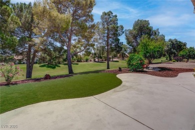 Presenting this completely remodeled, upgraded single-story home on Highland Falls Golf Club in Nevada - for sale on GolfHomes.com, golf home, golf lot