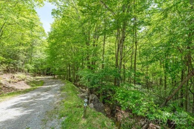 Dreaming of building a cabin in the mountains for your weekend on Beech Mountain Club in North Carolina - for sale on GolfHomes.com, golf home, golf lot