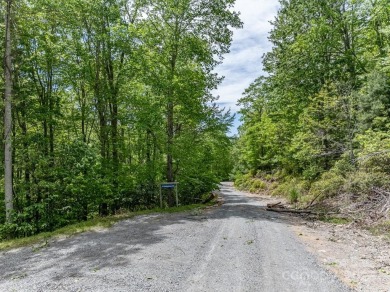 Dreaming of building a cabin in the mountains for your weekend on Beech Mountain Club in North Carolina - for sale on GolfHomes.com, golf home, golf lot