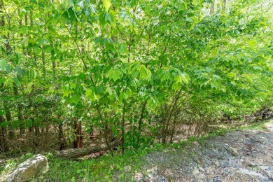 Dreaming of building a cabin in the mountains for your weekend on Beech Mountain Club in North Carolina - for sale on GolfHomes.com, golf home, golf lot