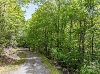 Dreaming of building a cabin in the mountains for your weekend on Beech Mountain Club in North Carolina - for sale on GolfHomes.com, golf home, golf lot