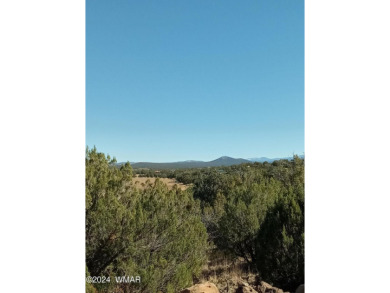 This exceptional .33 acre property is conveniently located in on Silver Creek Golf Club in Arizona - for sale on GolfHomes.com, golf home, golf lot