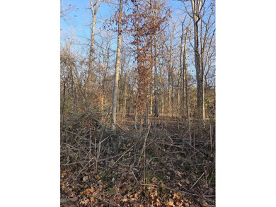 Newly listed huge, almost an acre lakeview lot! Build your dream on Diamondhead Golf and Country Club in Arkansas - for sale on GolfHomes.com, golf home, golf lot
