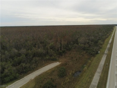 This is a bird watchers paradise! Desirable Uncleared Raw Land on Heritage Palms Golf and Country Club in Florida - for sale on GolfHomes.com, golf home, golf lot