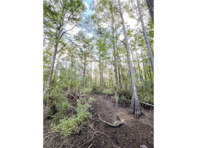 This is a bird watchers paradise! Desirable Uncleared Raw Land on Heritage Palms Golf and Country Club in Florida - for sale on GolfHomes.com, golf home, golf lot