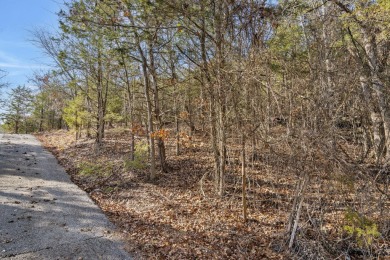It's a new year, lake close @ Elm Dr! Ready for a new year where on Kimberling City Golf Club in Missouri - for sale on GolfHomes.com, golf home, golf lot