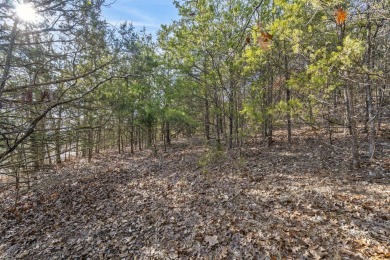 It's a new year, lake close @ Elm Dr! Ready for a new year where on Kimberling City Golf Club in Missouri - for sale on GolfHomes.com, golf home, golf lot