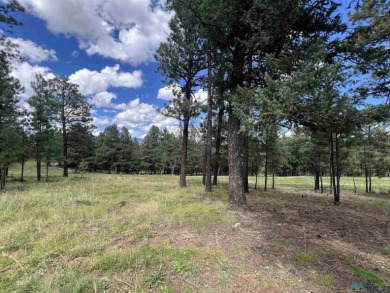 Wake up to fresh mountain air, peaceful pines, and the beauty of on Pendaries Village Community Assoc. in New Mexico - for sale on GolfHomes.com, golf home, golf lot