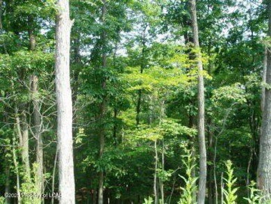Beautiful lot in the north section of Eagle Rock.  Also an on Eagle Rock Golf and Ski Resort in Pennsylvania - for sale on GolfHomes.com, golf home, golf lot