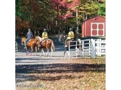 Beautiful lot in the north section of Eagle Rock.  Also an on Eagle Rock Golf and Ski Resort in Pennsylvania - for sale on GolfHomes.com, golf home, golf lot