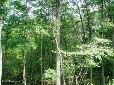 Beautiful building lot in the North Section of Eagle Rock on Eagle Rock Golf and Ski Resort in Pennsylvania - for sale on GolfHomes.com, golf home, golf lot