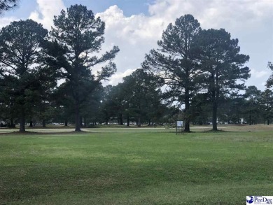 Discover the perfect location for your dream home on this on Country Club of South Carolina in South Carolina - for sale on GolfHomes.com, golf home, golf lot