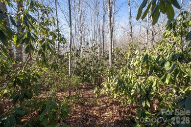 Discover the opportunity to build your mountain retreat in on Cummings Cove Golf and Country Club in North Carolina - for sale on GolfHomes.com, golf home, golf lot