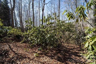 Discover the opportunity to build your mountain retreat in on Cummings Cove Golf and Country Club in North Carolina - for sale on GolfHomes.com, golf home, golf lot