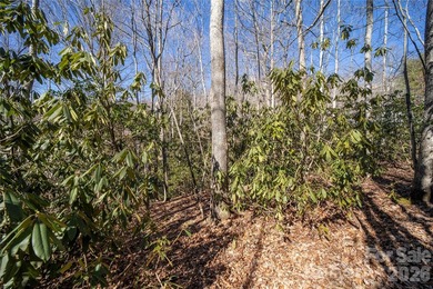 Discover the opportunity to build your mountain retreat in on Cummings Cove Golf and Country Club in North Carolina - for sale on GolfHomes.com, golf home, golf lot