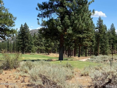 Where the fairway meets the forest, and your backyard begins on on Clear Creek Tahoe in Nevada - for sale on GolfHomes.com, golf home, golf lot