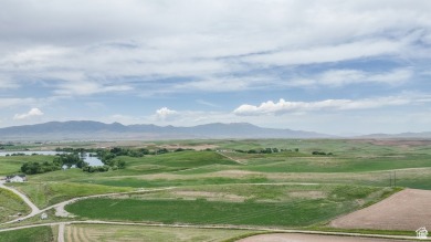 Lake views and plenty of privacy. Acreage is aprox. A survey on Preston Golf and Country Club in Idaho - for sale on GolfHomes.com, golf home, golf lot