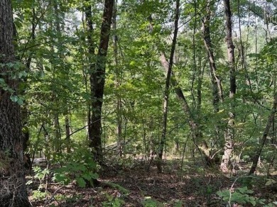 This double lot has 2.91 acres combined and would be perfect for on Holiday Island Golf Course in Arkansas - for sale on GolfHomes.com, golf home, golf lot