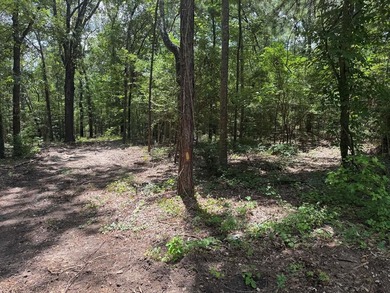 Build your dream home on this beautiful lot in the heart of on Rayburn Country Club in Texas - for sale on GolfHomes.com, golf home, golf lot