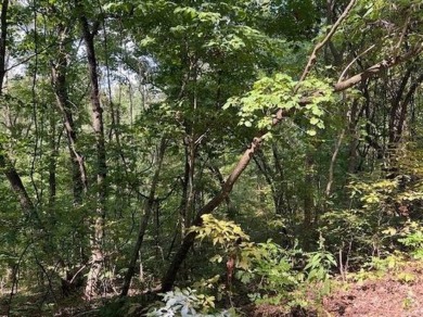 This double lot has 2.91 acres combined and would be perfect for on Holiday Island Golf Course in Arkansas - for sale on GolfHomes.com, golf home, golf lot