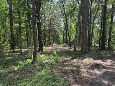 Build your dream home on this beautiful lot in the heart of on Rayburn Country Club in Texas - for sale on GolfHomes.com, golf home, golf lot