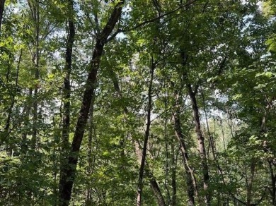 This double lot has 2.91 acres combined and would be perfect for on Holiday Island Golf Course in Arkansas - for sale on GolfHomes.com, golf home, golf lot