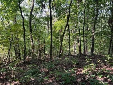 This double lot has 2.91 acres combined and would be perfect for on Holiday Island Golf Course in Arkansas - for sale on GolfHomes.com, golf home, golf lot