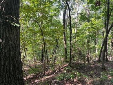 This double lot has 2.91 acres combined and would be perfect for on Holiday Island Golf Course in Arkansas - for sale on GolfHomes.com, golf home, golf lot