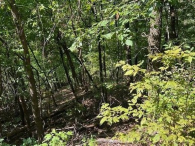 This double lot has 2.91 acres combined and would be perfect for on Holiday Island Golf Course in Arkansas - for sale on GolfHomes.com, golf home, golf lot