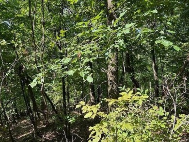 This double lot has 2.91 acres combined and would be perfect for on Holiday Island Golf Course in Arkansas - for sale on GolfHomes.com, golf home, golf lot