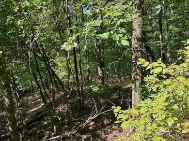This double lot has 2.91 acres combined and would be perfect for on Holiday Island Golf Course in Arkansas - for sale on GolfHomes.com, golf home, golf lot