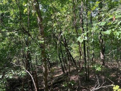 This double lot has 2.91 acres combined and would be perfect for on Holiday Island Golf Course in Arkansas - for sale on GolfHomes.com, golf home, golf lot