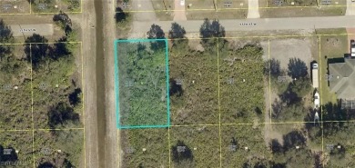 Don't miss this incredible opportunity to own a vacant lot in on River Hall Country Club in Florida - for sale on GolfHomes.com, golf home, golf lot