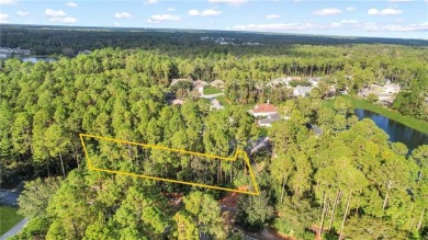 Don't miss this incredible opportunity to build your dream home on The Club At Osprey Cove in Georgia - for sale on GolfHomes.com, golf home, golf lot
