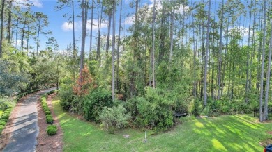 Don't miss this incredible opportunity to build your dream home on The Club At Osprey Cove in Georgia - for sale on GolfHomes.com, golf home, golf lot
