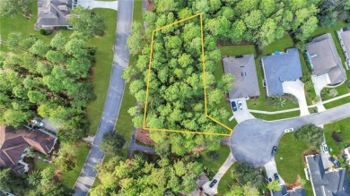 Don't miss this incredible opportunity to build your dream home on The Club At Osprey Cove in Georgia - for sale on GolfHomes.com, golf home, golf lot