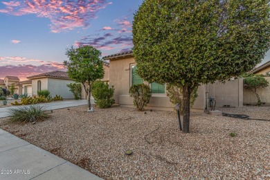 Live the Estrella Mountain Ranch lifestyle in this beautifully on Estrella Mountain Ranch Golf Course in Arizona - for sale on GolfHomes.com, golf home, golf lot