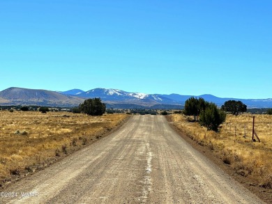 Don't miss out on this amazing opportunity! Bring your HORSES on Concho Valley Country Club in Arizona - for sale on GolfHomes.com, golf home, golf lot