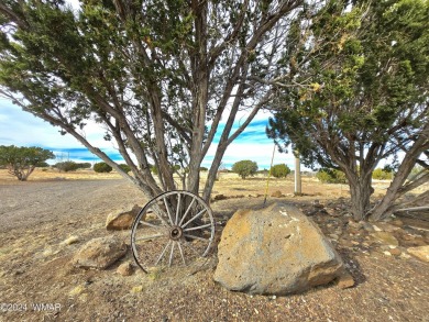 Don't miss out on this amazing opportunity! Bring your HORSES on Concho Valley Country Club in Arizona - for sale on GolfHomes.com, golf home, golf lot