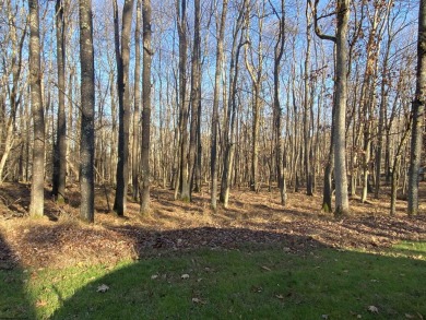 Looking for the perfect homesite for your vaction home or on Alpine Lake Resort in West Virginia - for sale on GolfHomes.com, golf home, golf lot