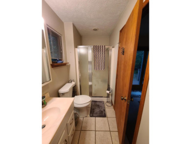 In Beautiful Michaywe find this well maintained 3BR 3BTH on Michaywe Pines Course in Michigan - for sale on GolfHomes.com, golf home, golf lot