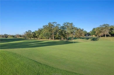 In Search of Beauty & Space? Need room to grow? This stately on Pebble Creek Country Club in Texas - for sale on GolfHomes.com, golf home, golf lot