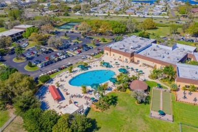 This partially FURNISHED 2-bed, 2-bath condo in the active and on Falcon Watch Golf Club in Florida - for sale on GolfHomes.com, golf home, golf lot