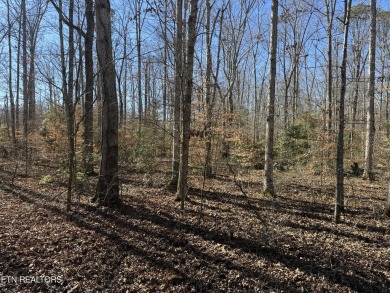 5.1 acres of restricted flat, wooded land in White Pine on White Pine Golf Club in Tennessee - for sale on GolfHomes.com, golf home, golf lot