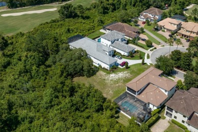 Build your Dream Home in Palencia. Don't miss this rare on The Palencia Club in Florida - for sale on GolfHomes.com, golf home, golf lot