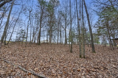 It's a new year, lake close @ Hillcrest Dr! Ready for a new year on Kimberling City Golf Club in Missouri - for sale on GolfHomes.com, golf home, golf lot